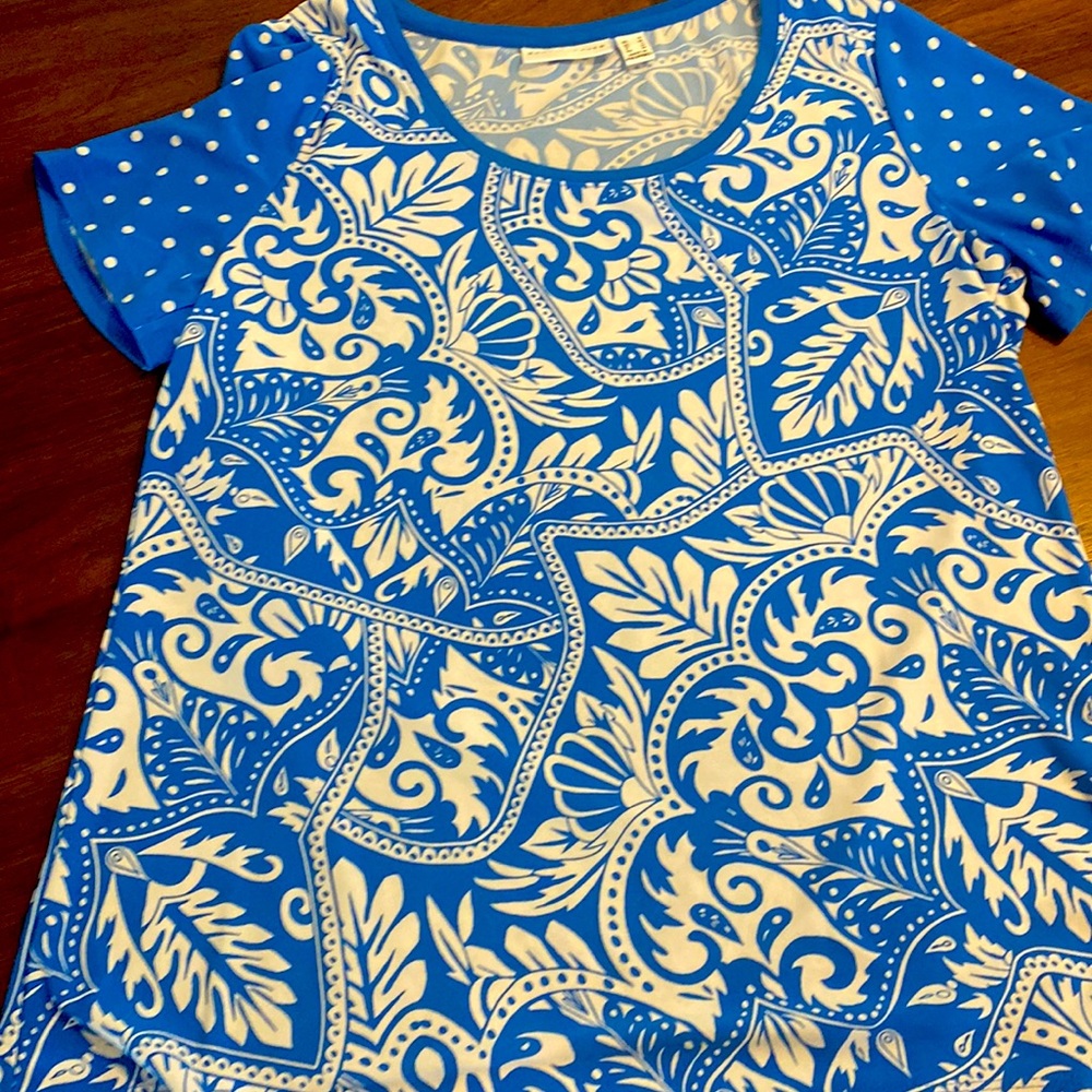 Gorgeous Susan Graver Blouse